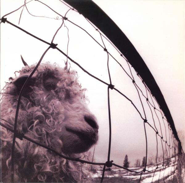Pearl Jam – Vs. 180G Vinyl LP Record