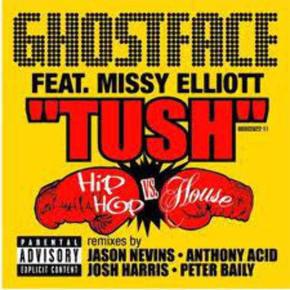 Ghostface Ft. Missy Elliott – Tush 2x Vinyl LP Record