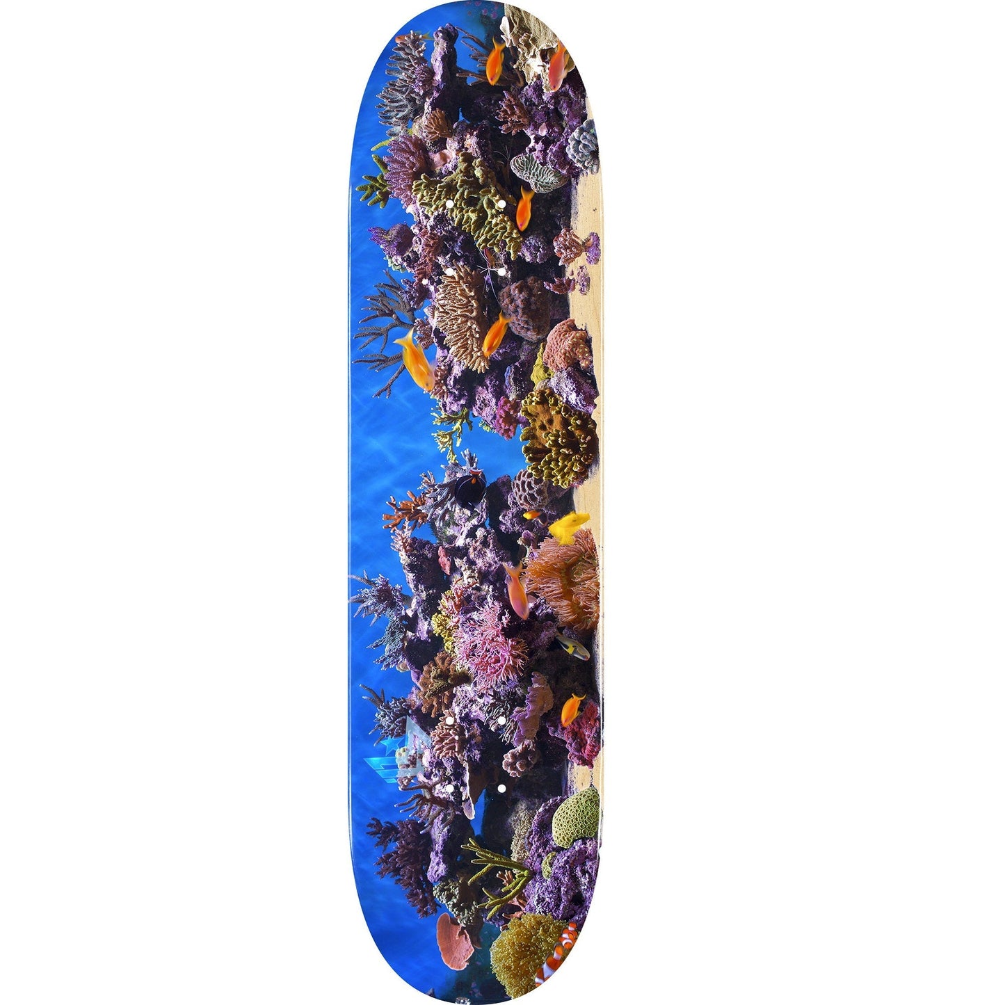 Mini Logo Fish Tank ″18″ Skateboard Deck 244 - 8.5″ - Bow Shock Marketplace