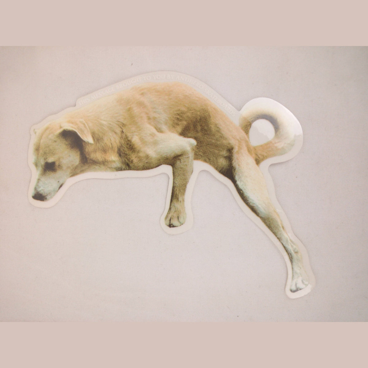 Anti-Hero Dog Clear White Black 7" x 6" Vintage NOS Sticker