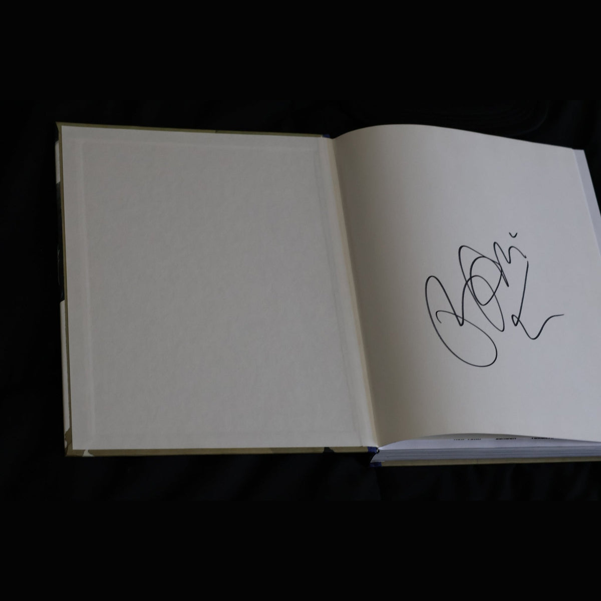 Rare Bam Margera Collection | Signed Book, Viva La Bam DVDs, Minghags, Haggard, CKY Photos, Hat & More