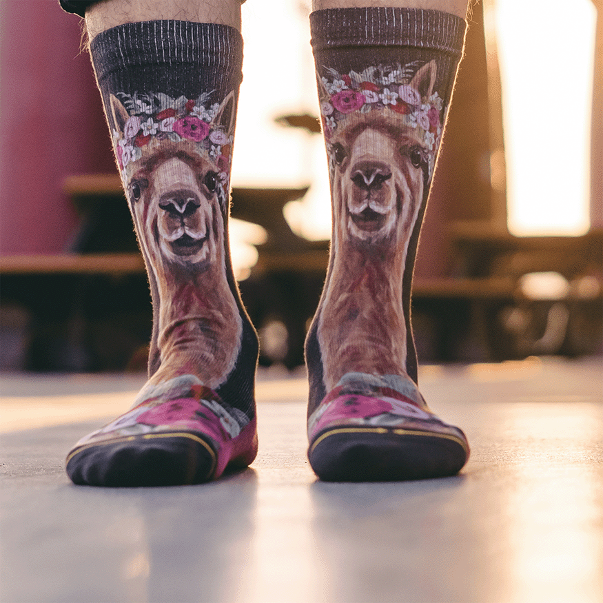 Alpaca Farm Animal Crew Socks With Art By Lee Keller