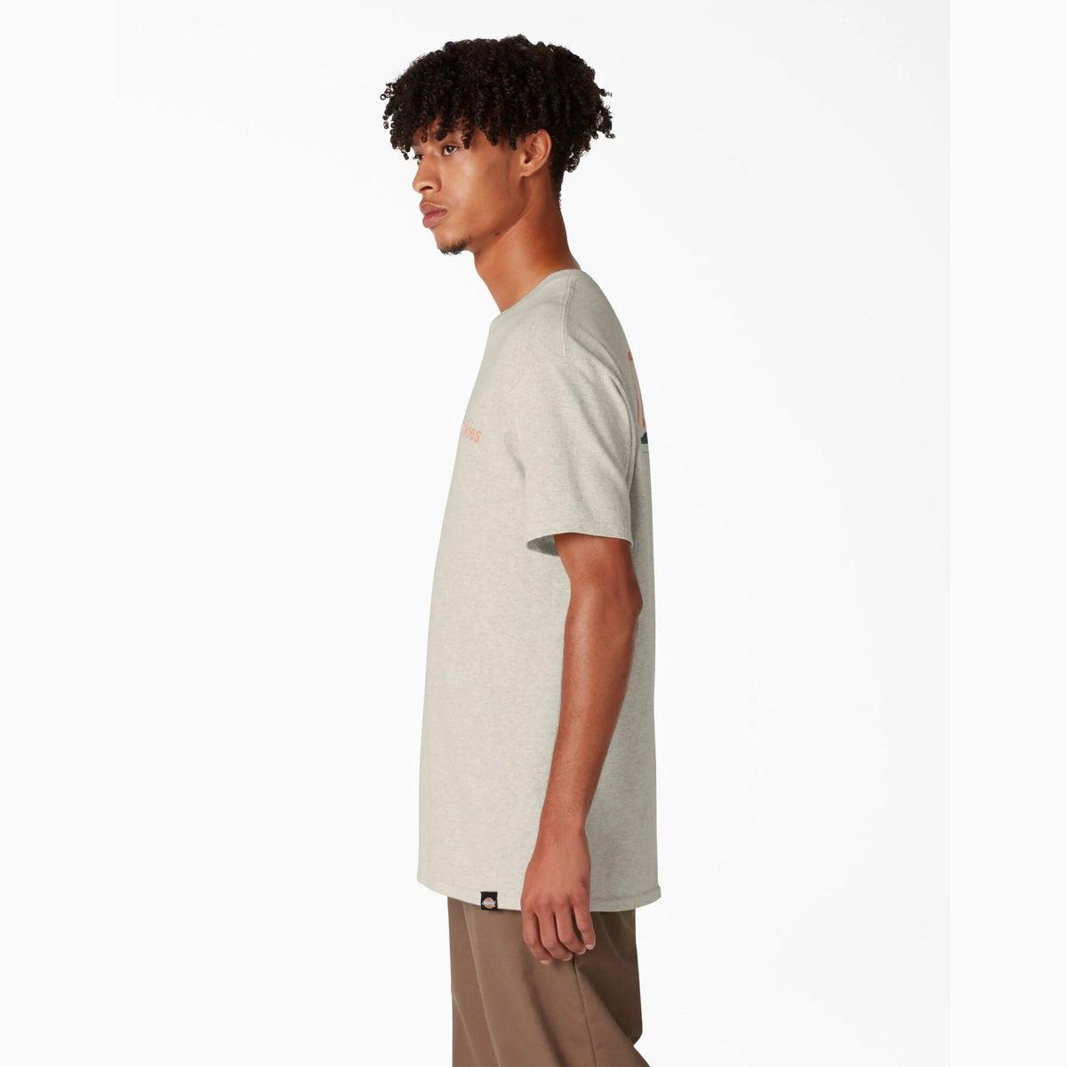 Dickies Skateboarding Split Graphic T-Shirt - Oatmeal Heather