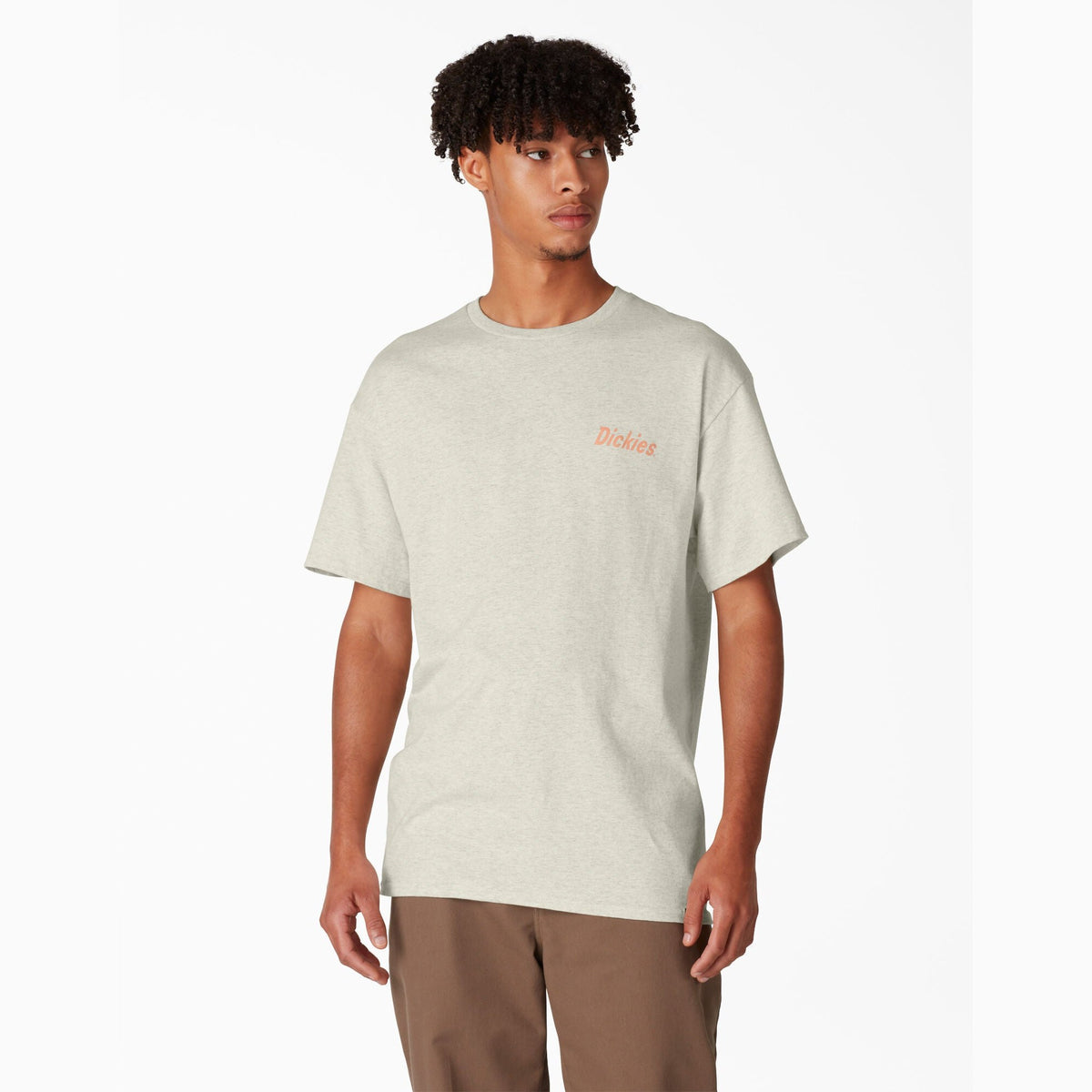 Dickies Skateboarding Split Graphic T-Shirt - Oatmeal Heather