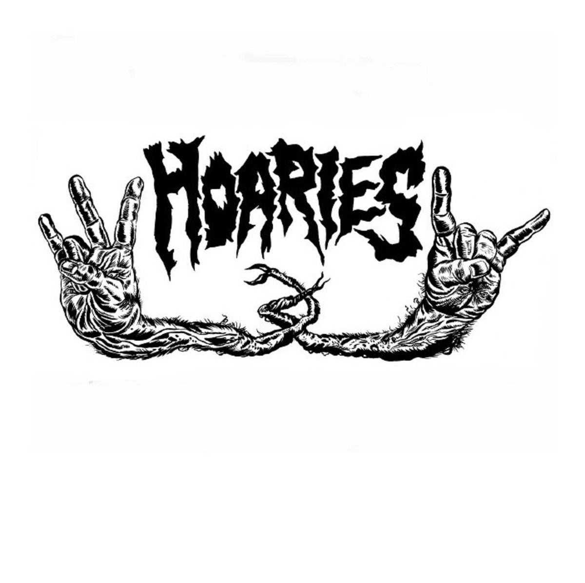 Hoaries – Rocker Shocker Clear & Black Color Vinyl LP Record