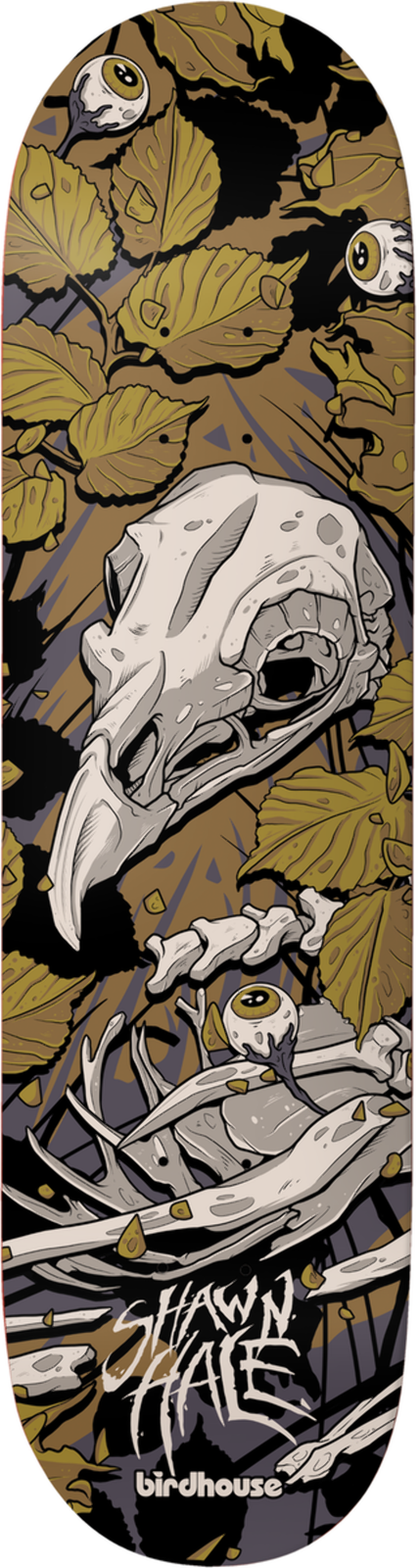Birdhouse Shawn Hale "Tillbrook" 9" Skateboard Deck