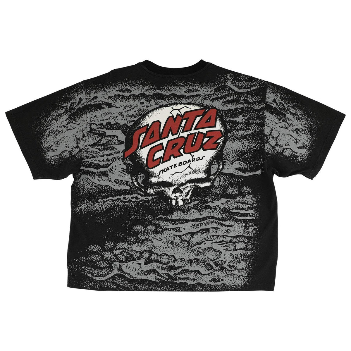 Santa Cruz O'Brien Reaper Heavyweight T-Shirt
