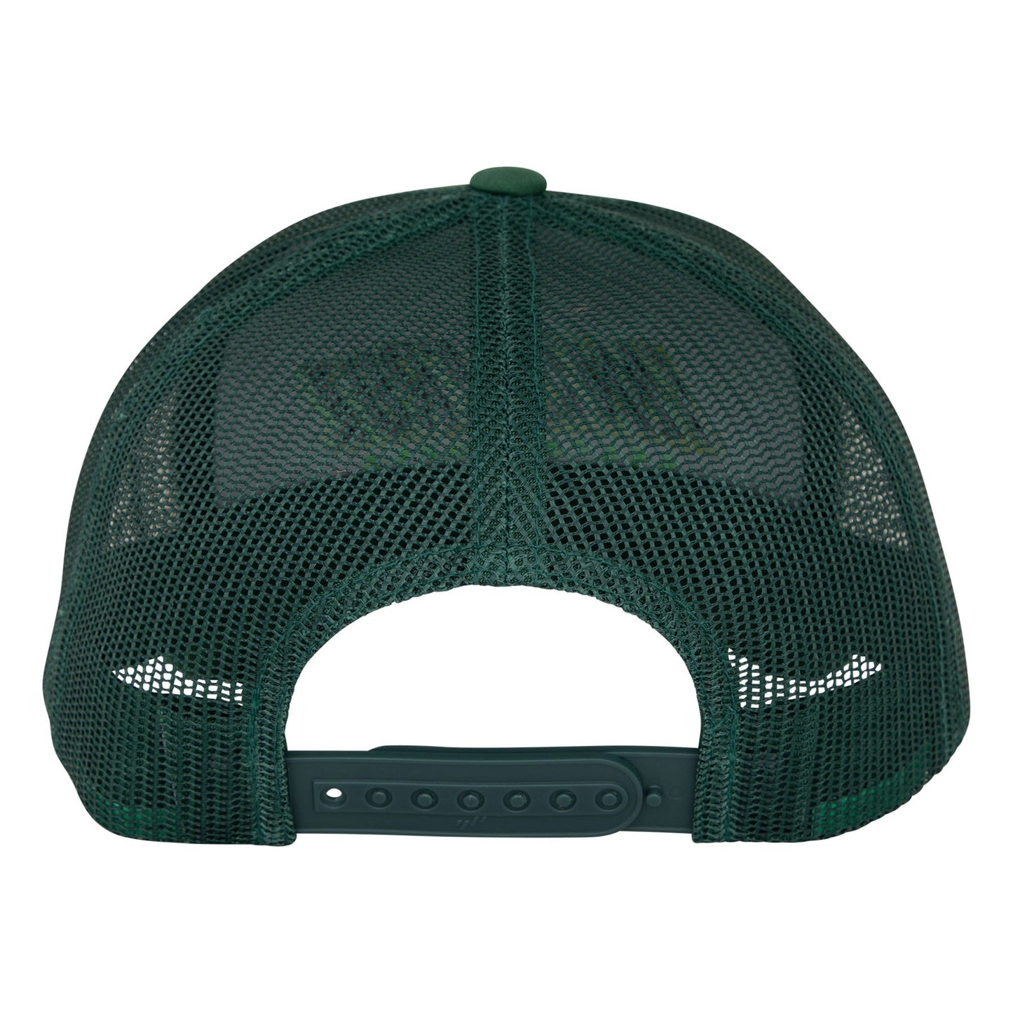 Santa Cruz Big Strip Evergreen Snapback Hat