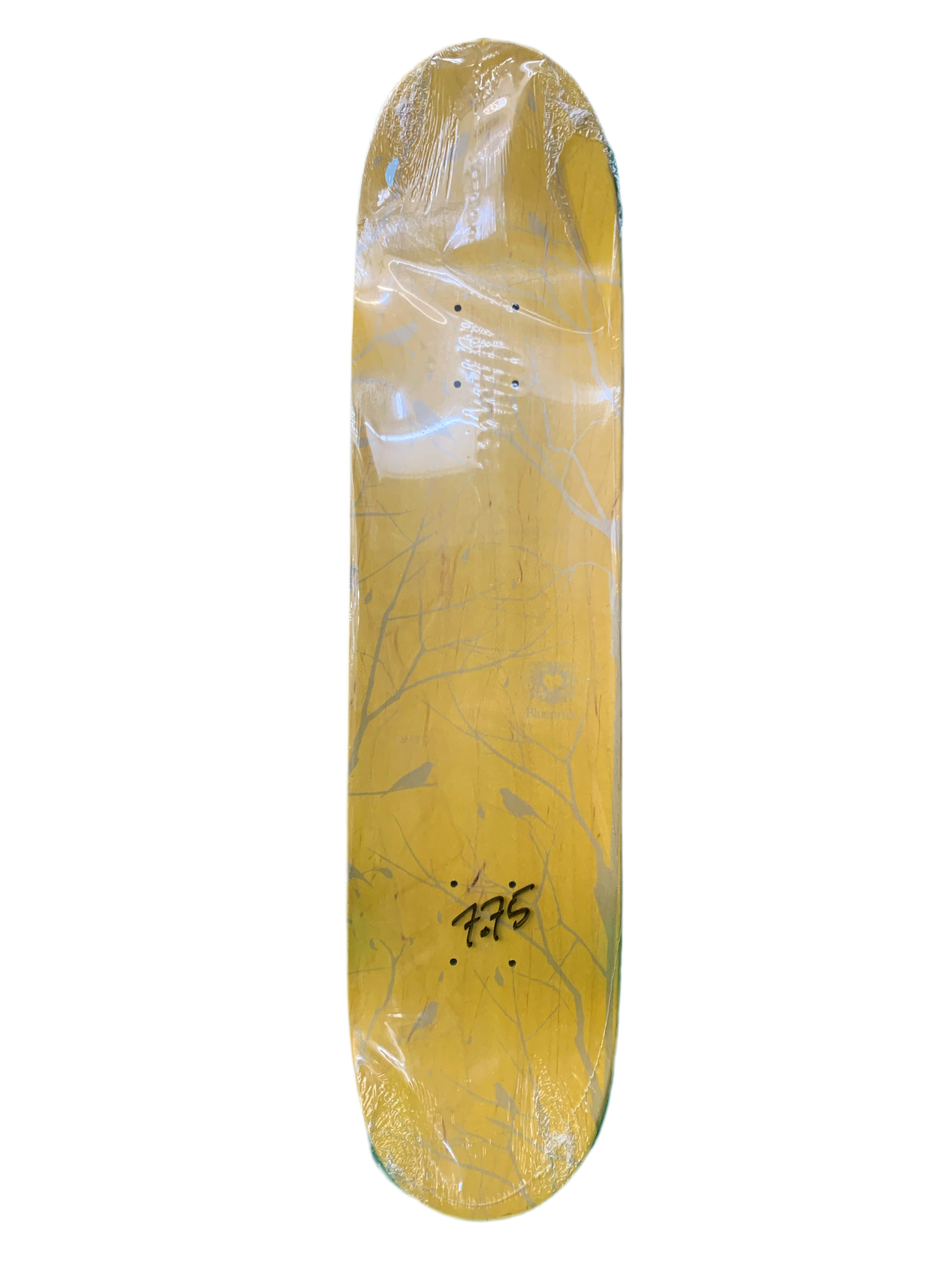 Blueprint Paul Shier Cavemhome Compass 7.75" Classic Skateboard Deck