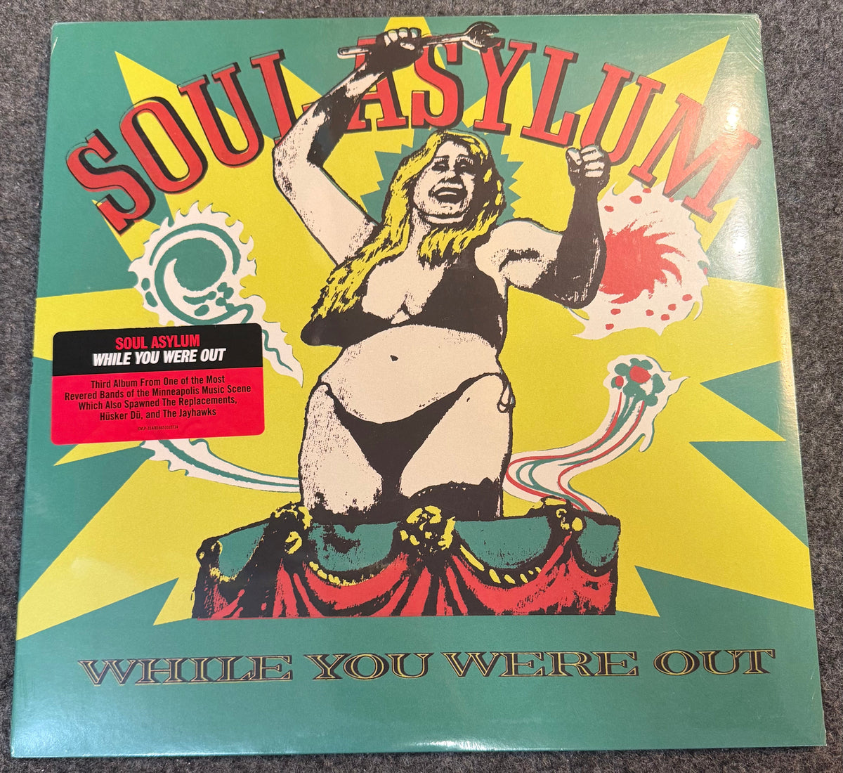 Soul Asylum - While You Were Out Vinyl LP Record