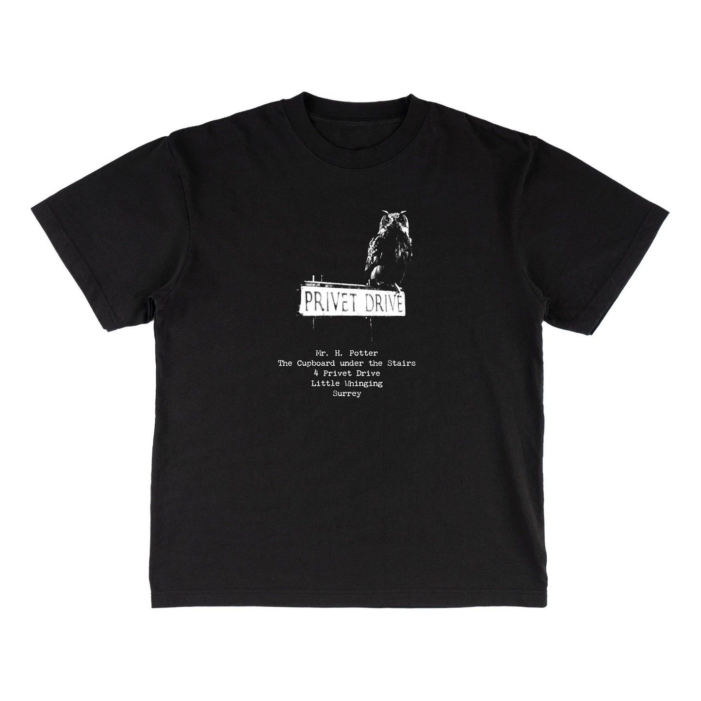 Welcome x Harry Potter Acceptance Boxy Garment-Dyed Tee - Black