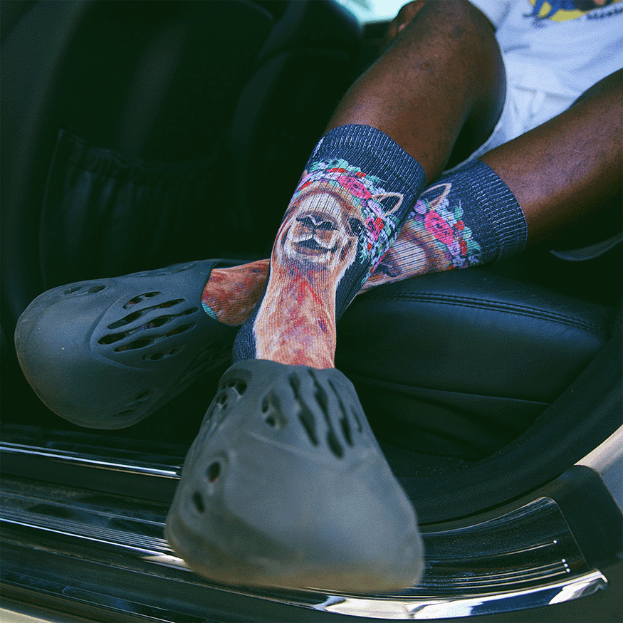 Alpaca Farm Animal Crew Socks With Art By Lee Keller
