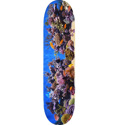 Mini Logo Fish Tank ″18″ Skateboard Deck 244 - 8.5″ - Bow Shock Marketplace