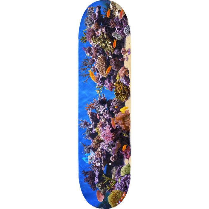 Mini Logo Fish Tank ″18″ Skateboard Deck 243 - 8.25″ - Bow Shock Marketplace