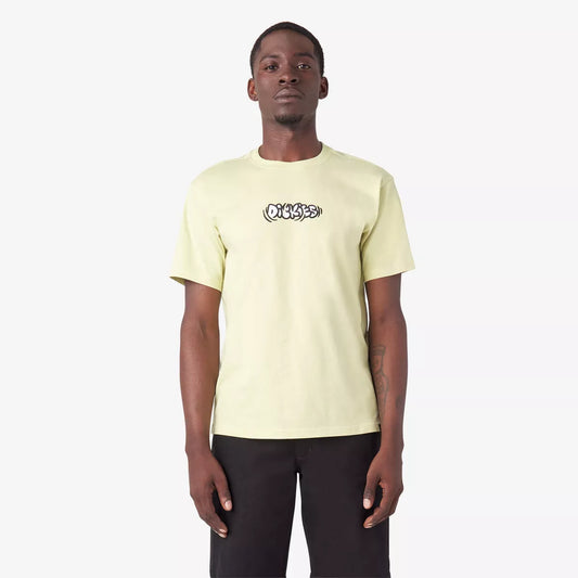 Dickies Skateboarding Squinter Pale Green S/s Shirt