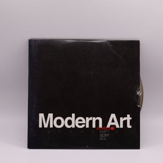 Ambig Modern Art DVD (2013) Rare Skateboarding Video Out Of Print Skate DVD