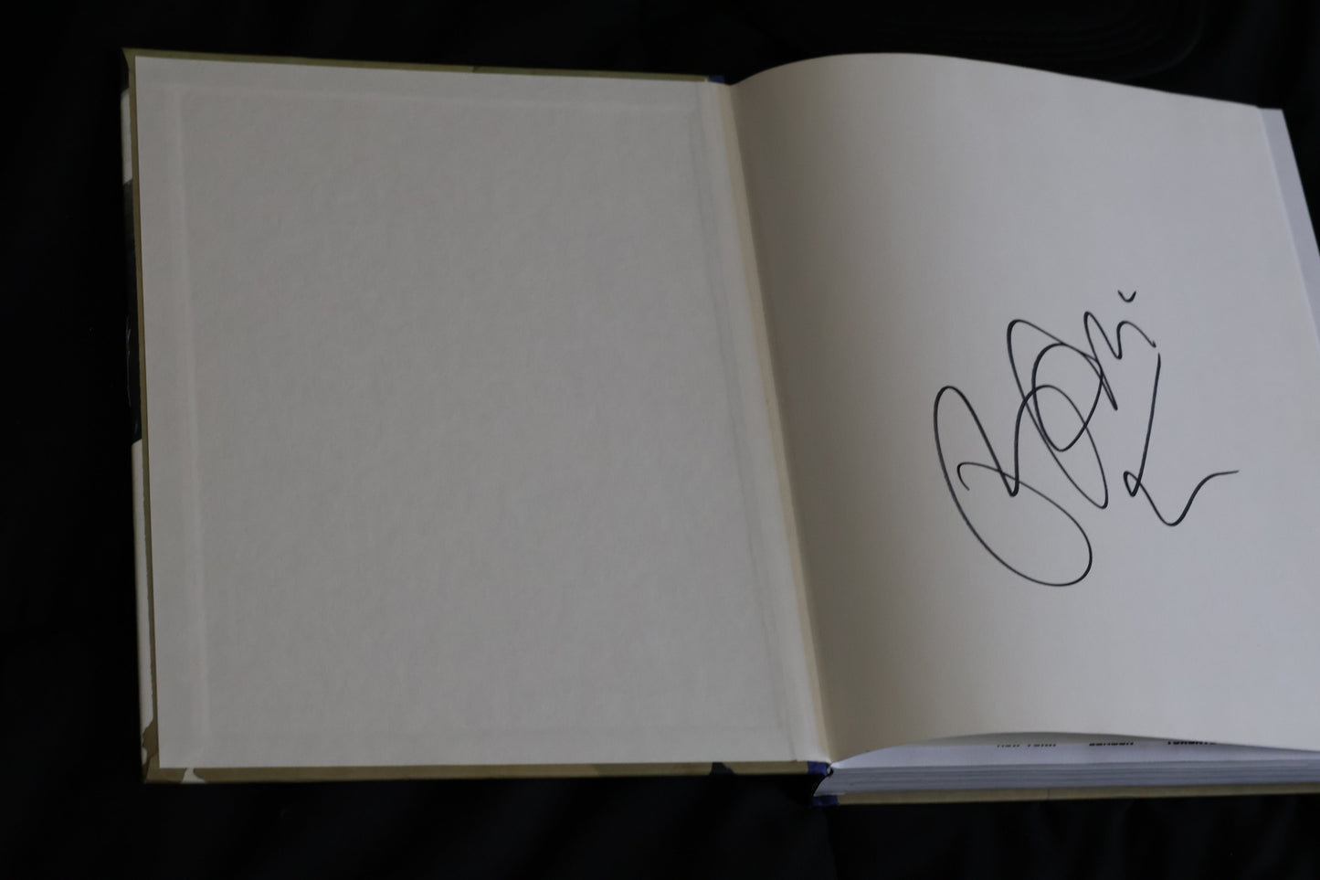 Rare Bam Margera Collection | Signed Book, Viva La Bam DVDs, Minghags, Haggard, CKY Photos, Hat & More