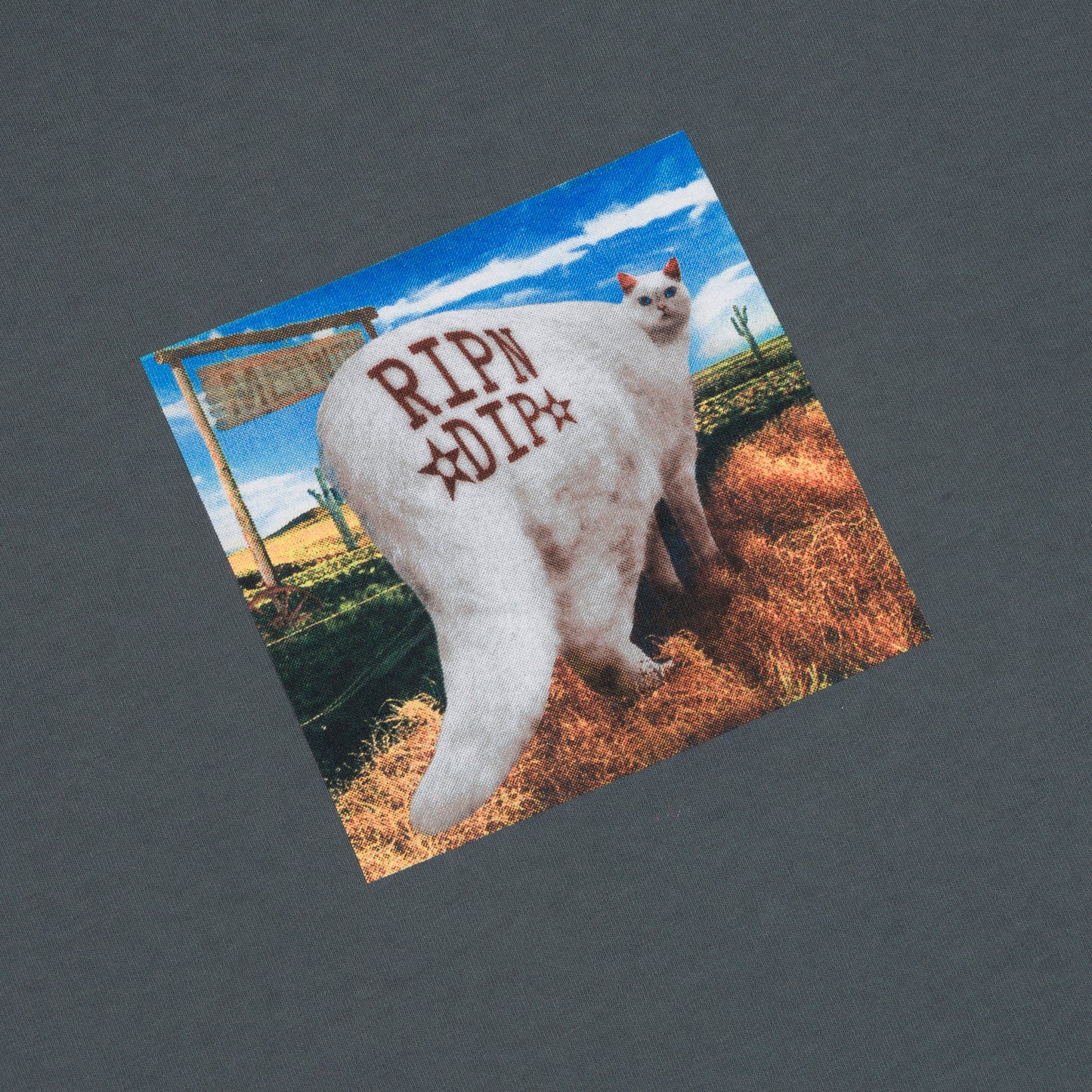 Rowdy Howdy Tee (Charcoal)