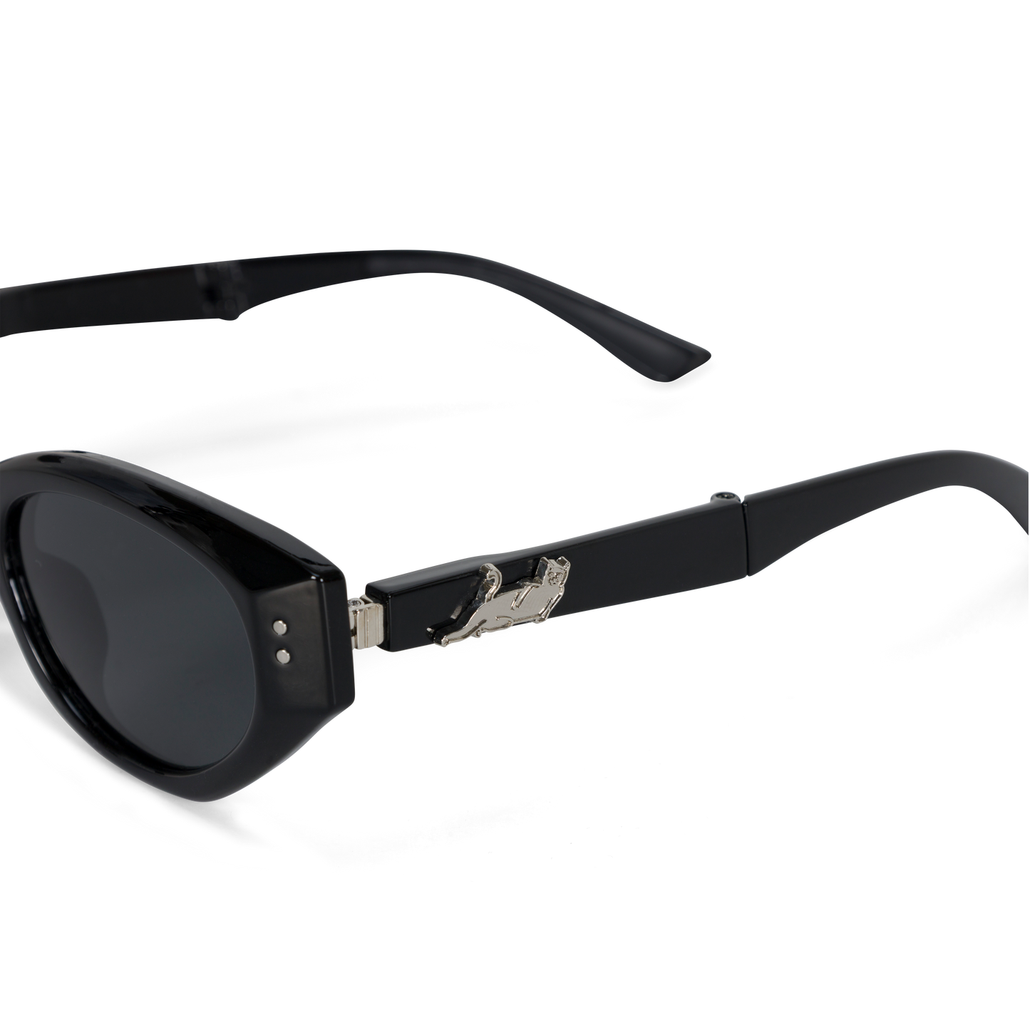 Castanza Folding Sunglasses (Black)