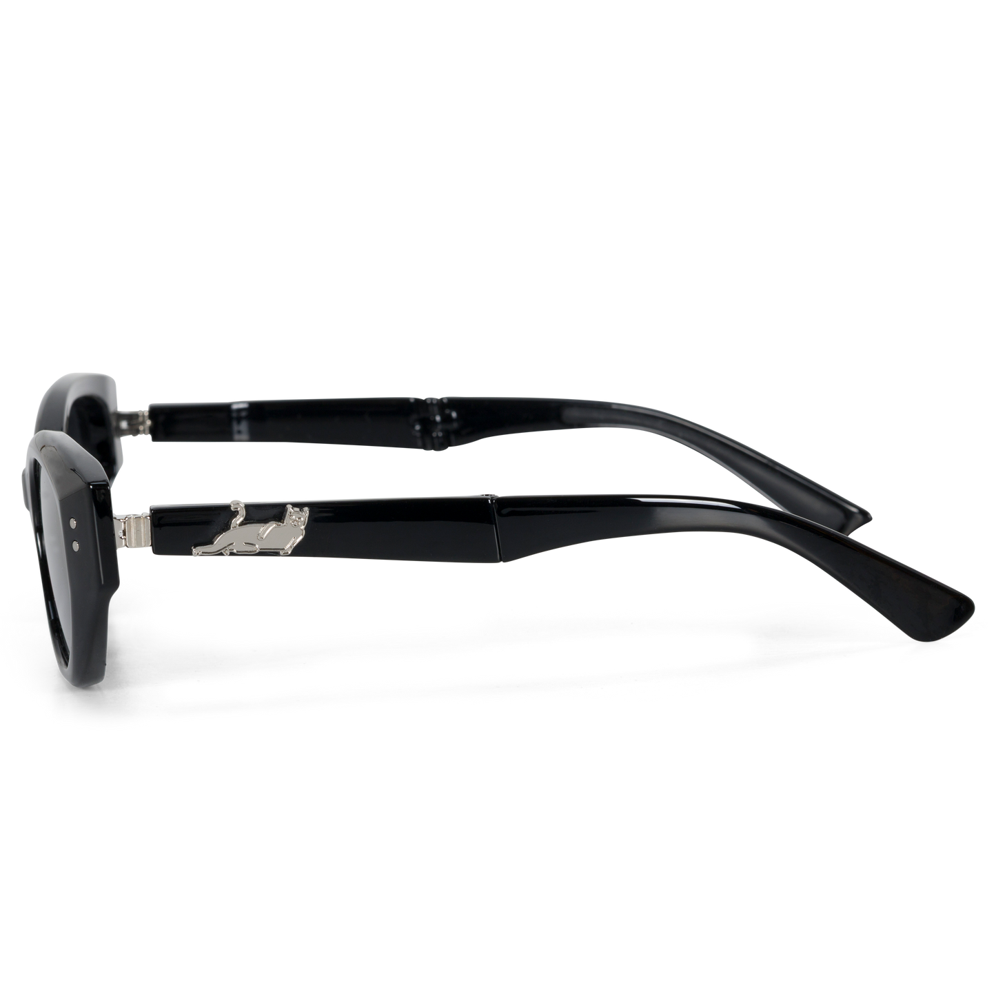 Castanza Folding Sunglasses (Black)