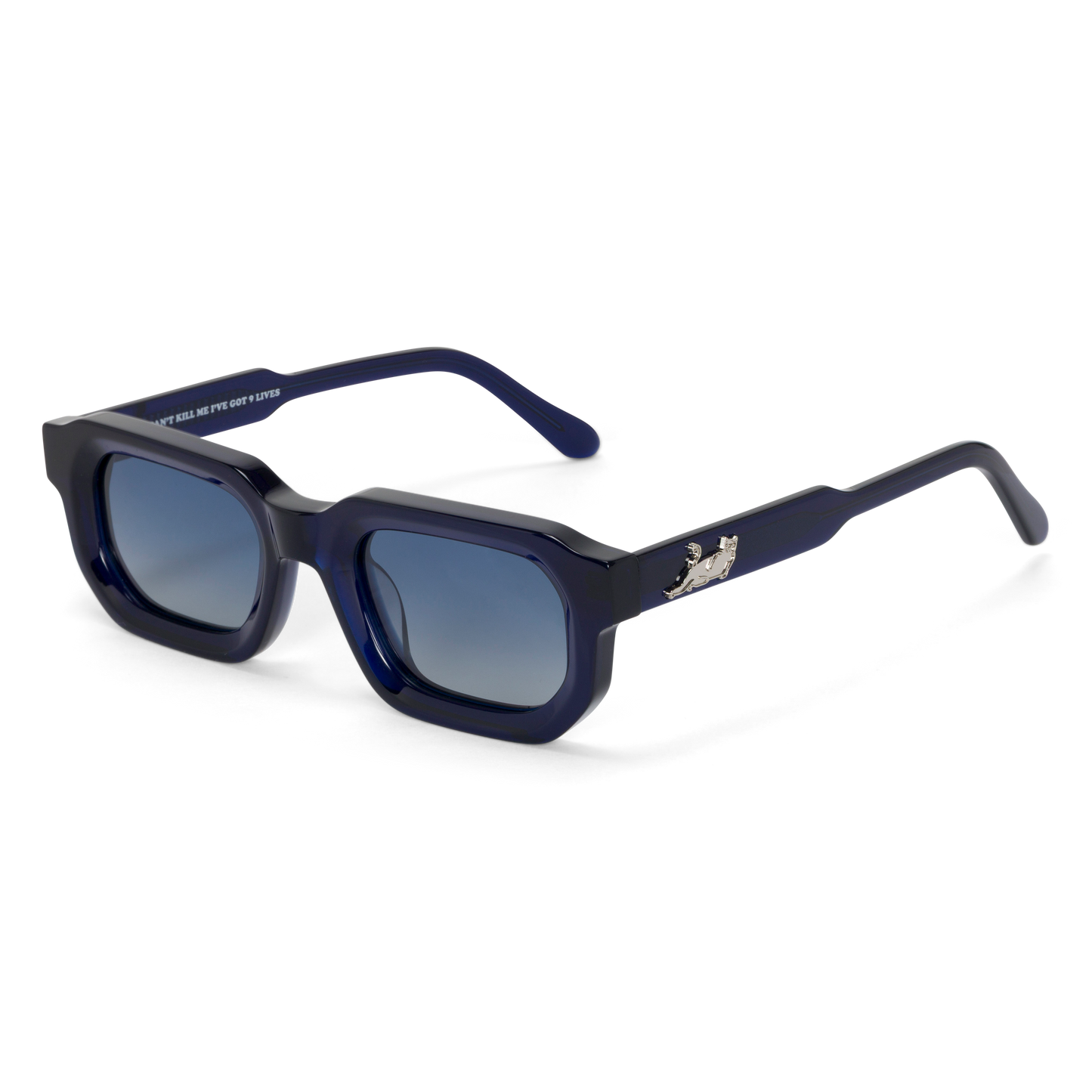 Castanza Sunglasses (Navy / Light Blue)