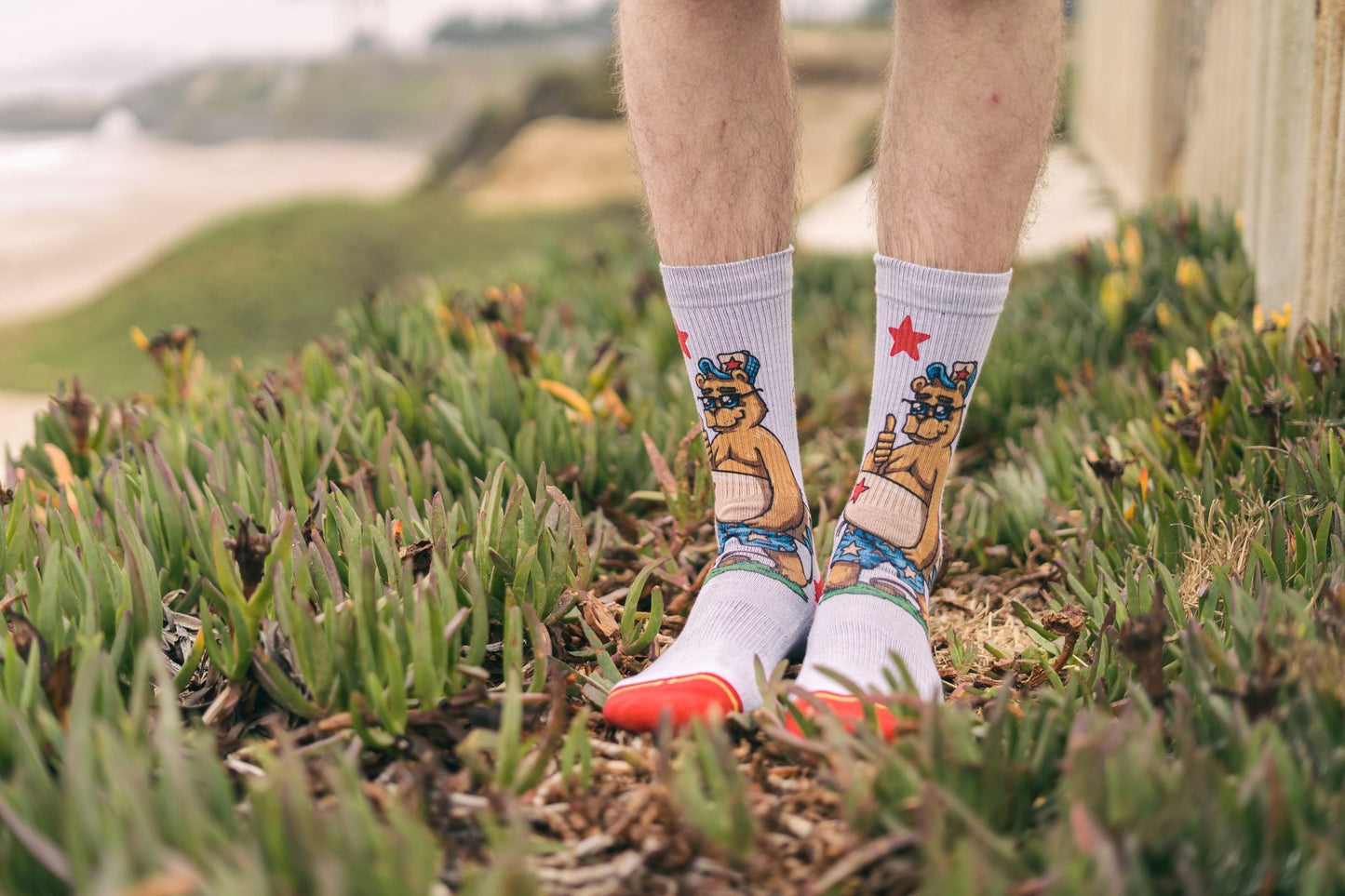 Cali Bear Crew Sock