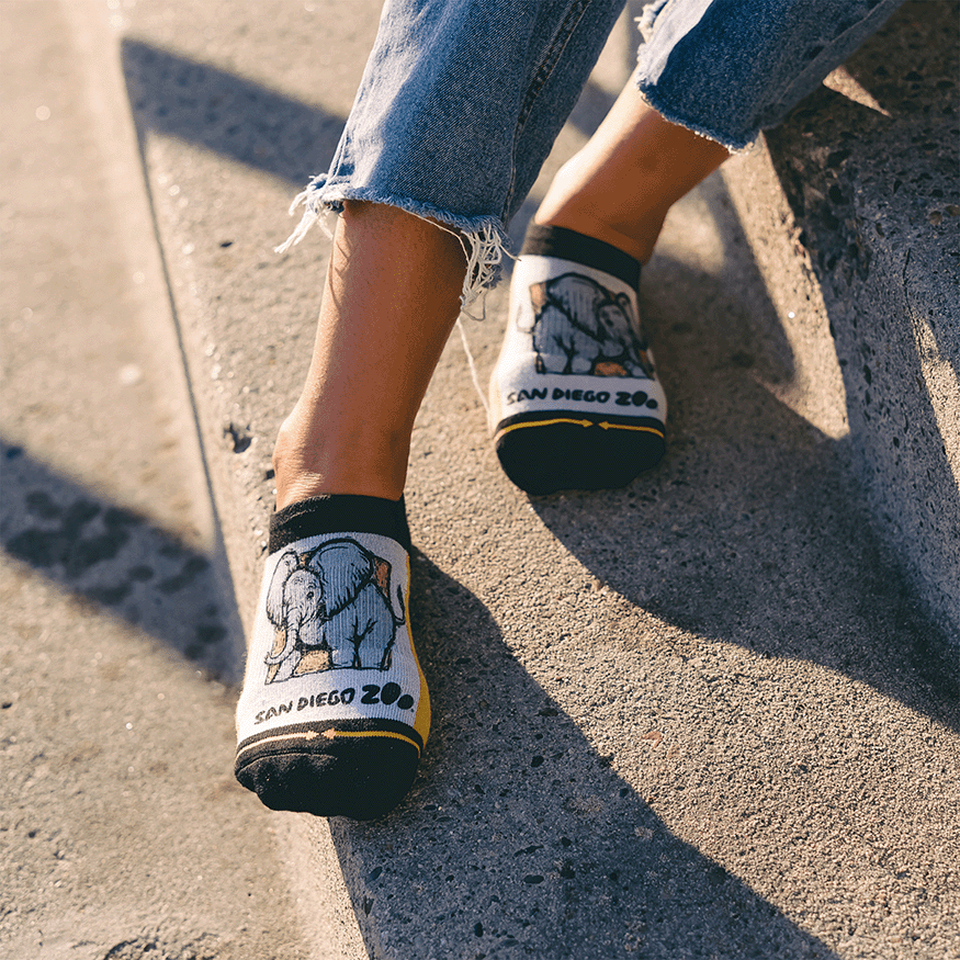 Baby Elephant No Show Socks With Art By San Diego Zoo