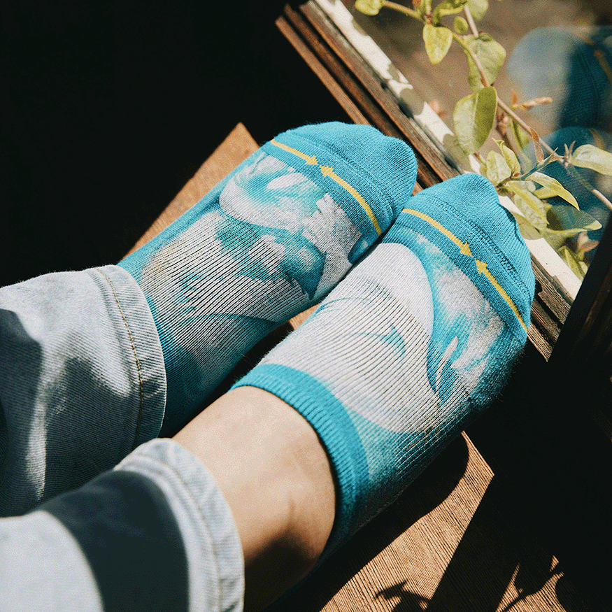 Dove No Show Socks With Art By Maia Negre