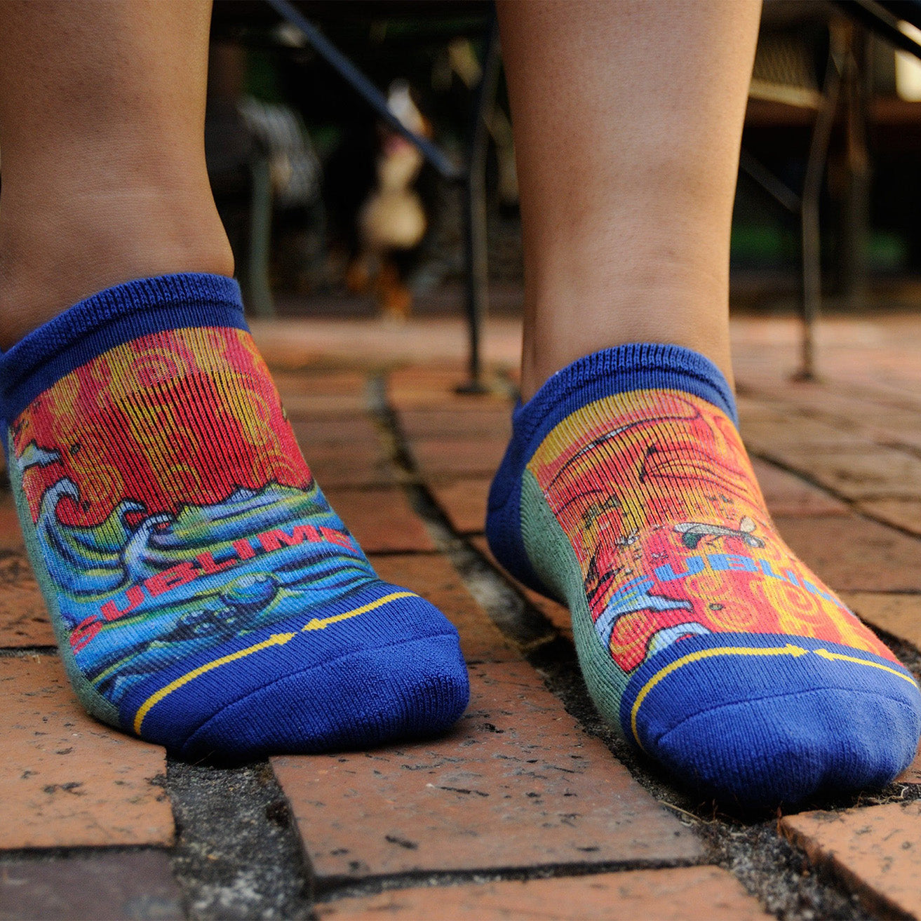 Sublime Everything Under The Sun No Show Socks