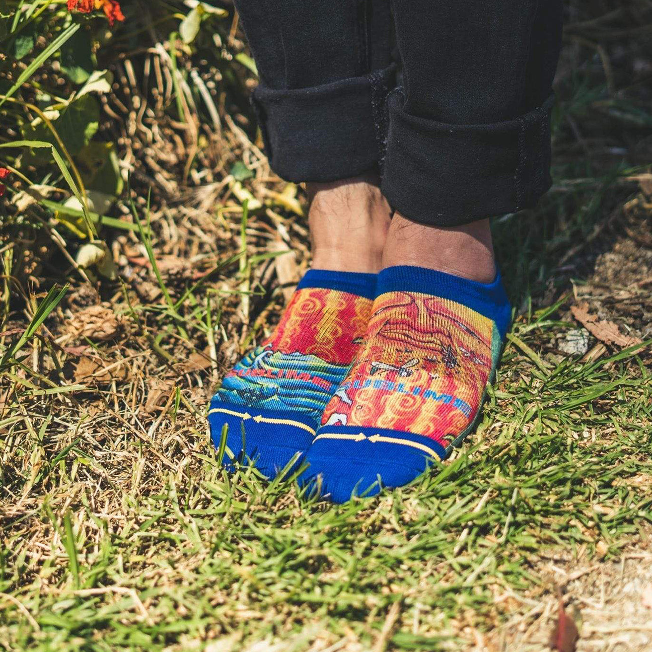 Sublime Everything Under The Sun No Show Socks