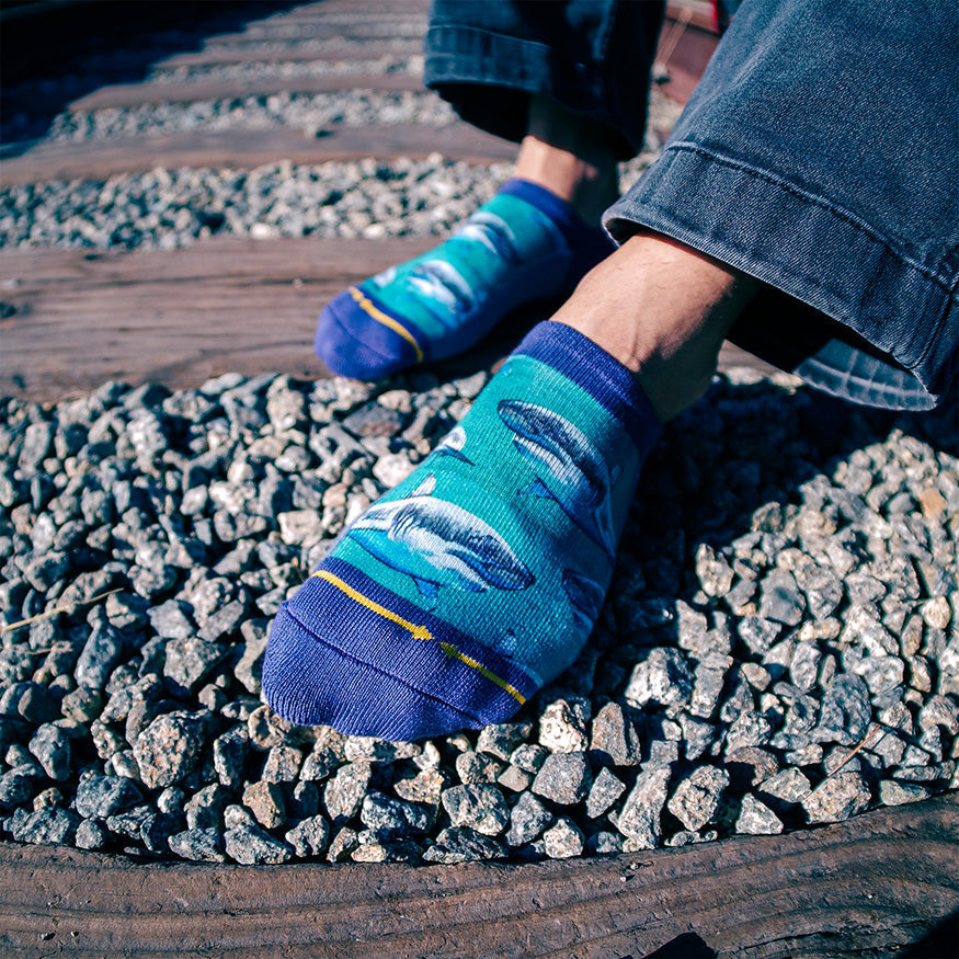 Great White Sharks No Show Socks With Art By Taylor Reinhold
