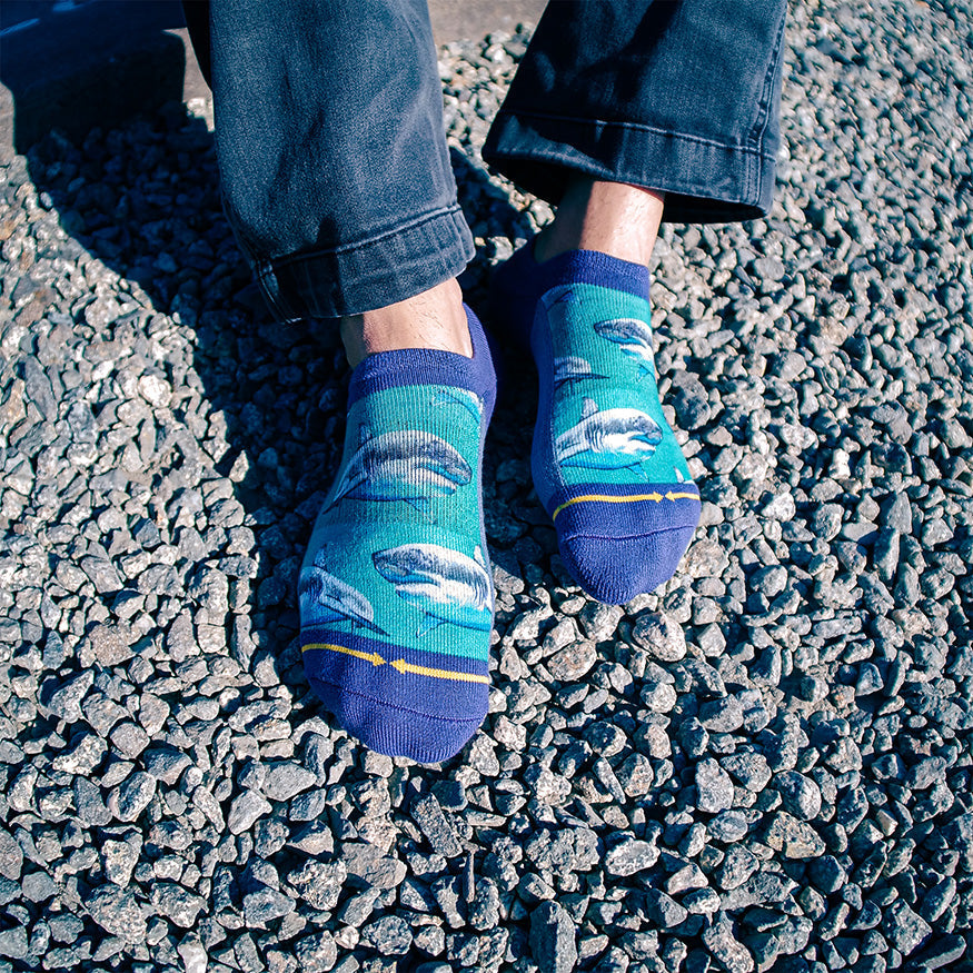 Great White Sharks No Show Socks With Art By Taylor Reinhold