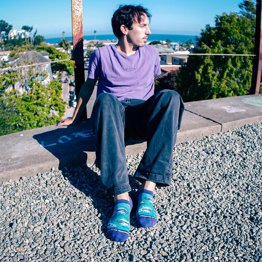 Great White Sharks No Show Socks With Art By Taylor Reinhold
