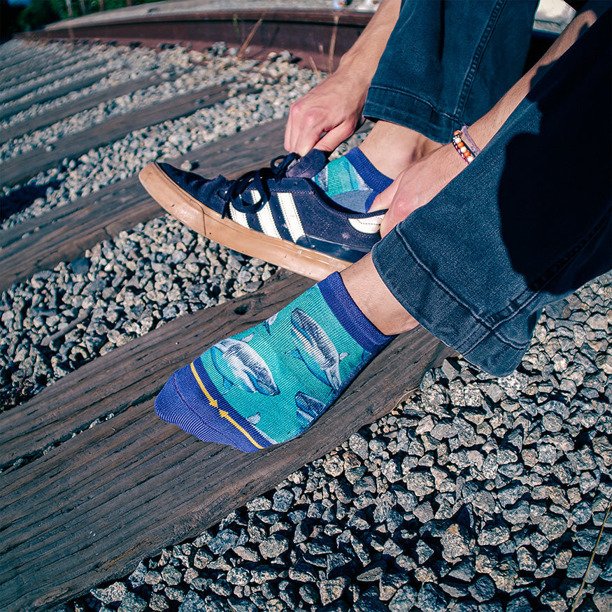 Great White Sharks No Show Socks With Art By Taylor Reinhold