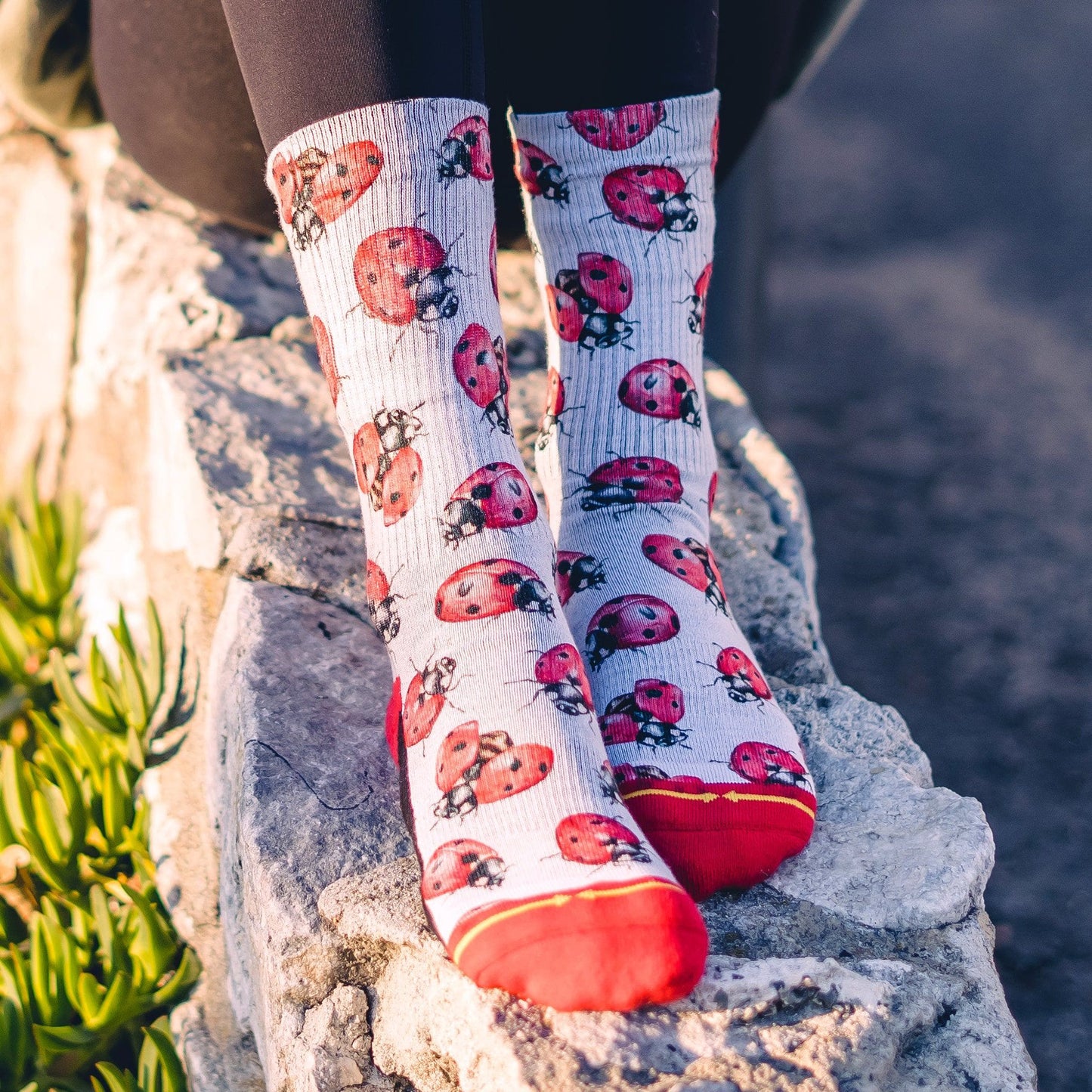 Lady Bugs Crew Socks With Art By Hanna Minck
