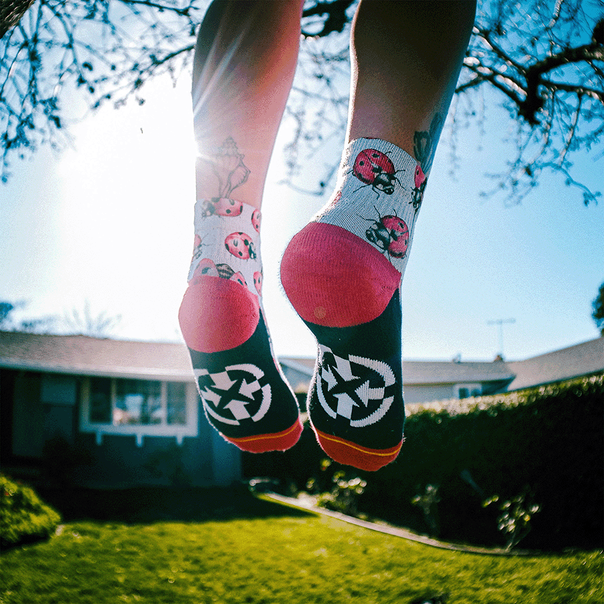 Lady Bugs Quarter Crew Socks with Art by Hanna Minck