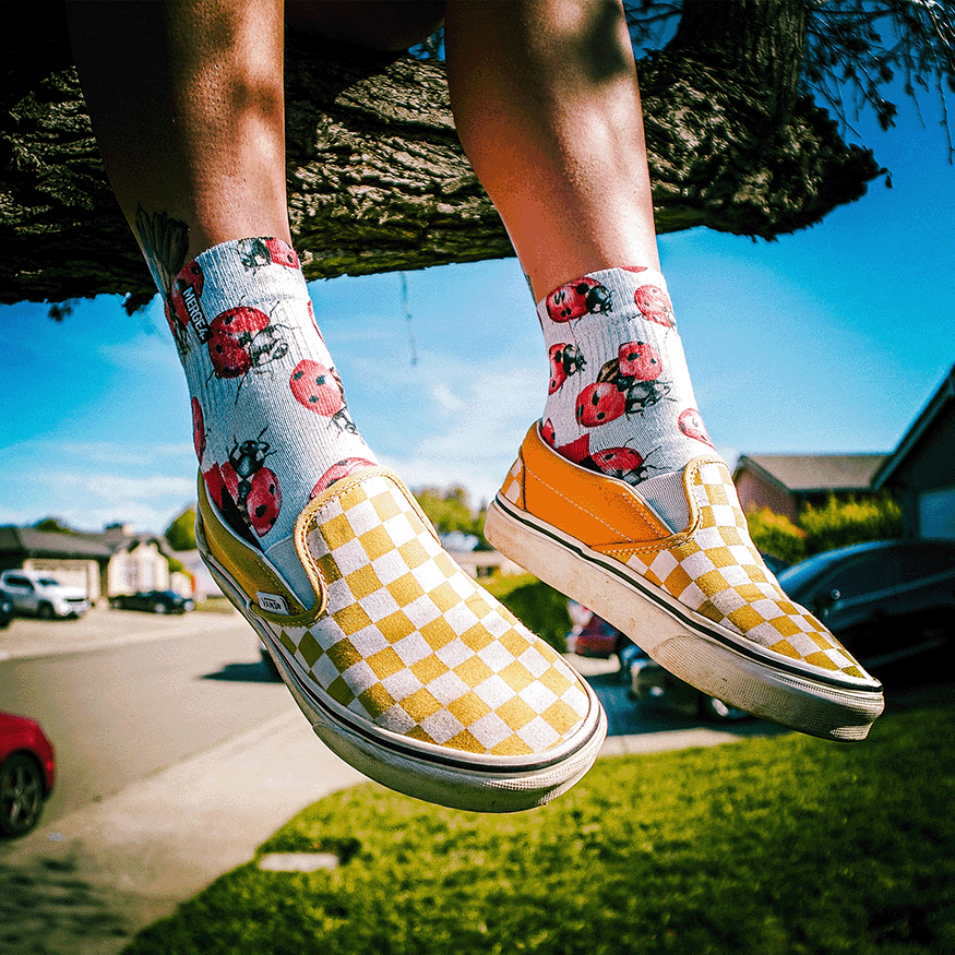 Lady Bugs Quarter Crew Socks with Art by Hanna Minck