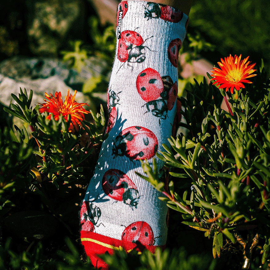 Lady Bugs Quarter Crew Socks with Art by Hanna Minck