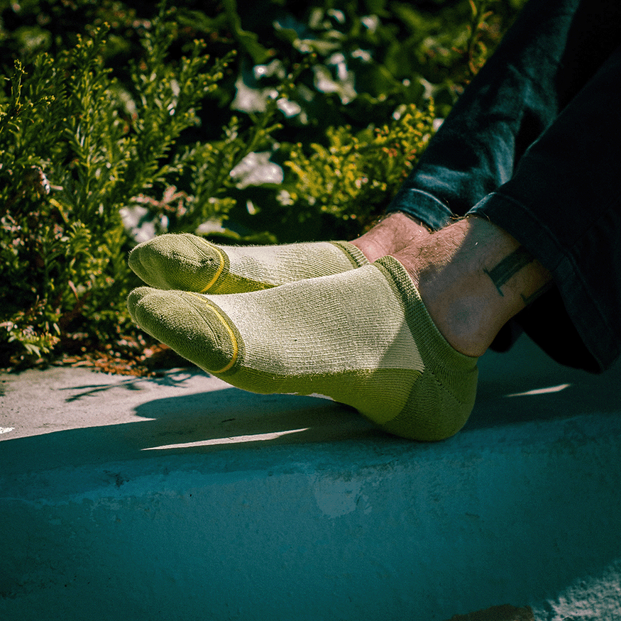 Olive Organic Cotton No Show Socks
