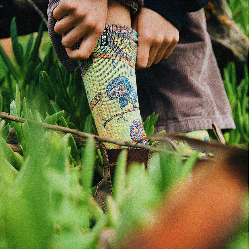 Owls Animal Crew Socks With Art By Bad Otis Link