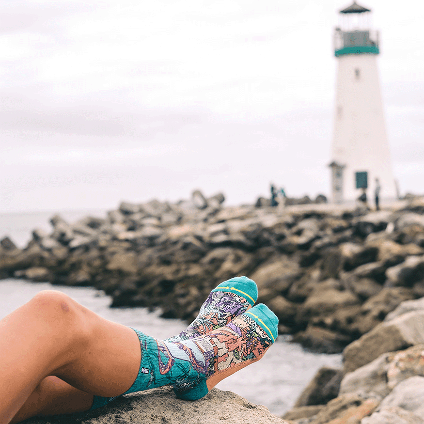 PangeaSeed Sea Walls Crew MERGE4 Socks With Art By Taylor Reinhold