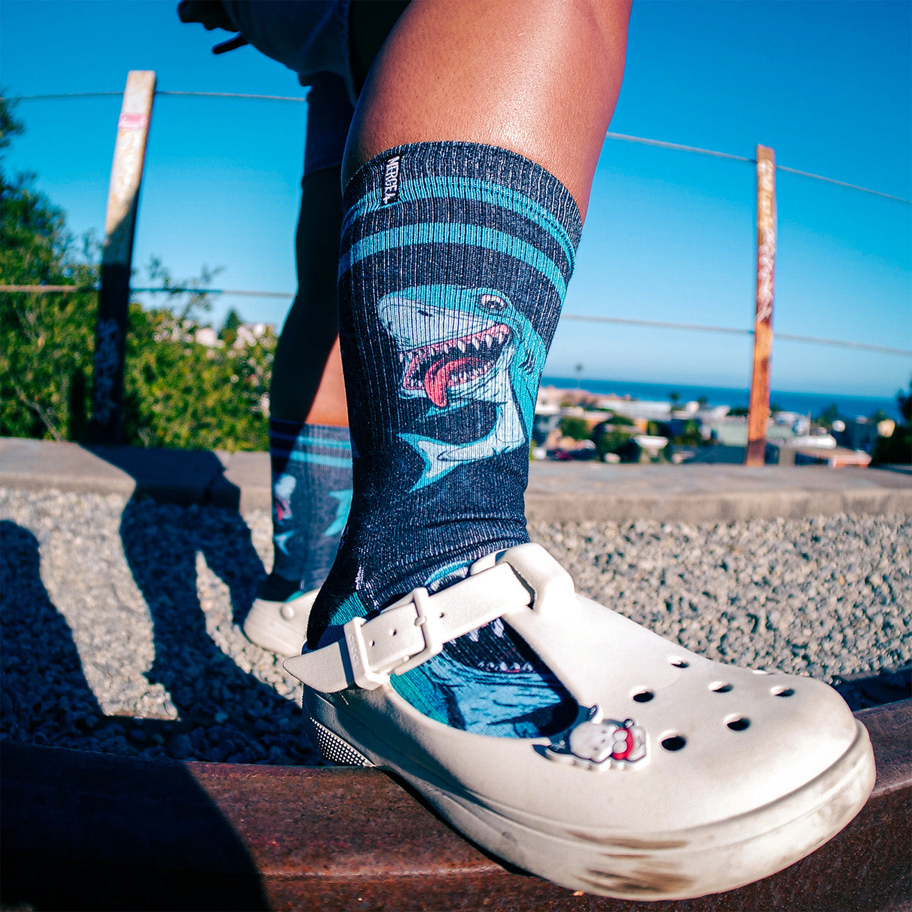 Sharks Art By Skateboarding Hall of Famer Steve Caballero & Hanna Minck