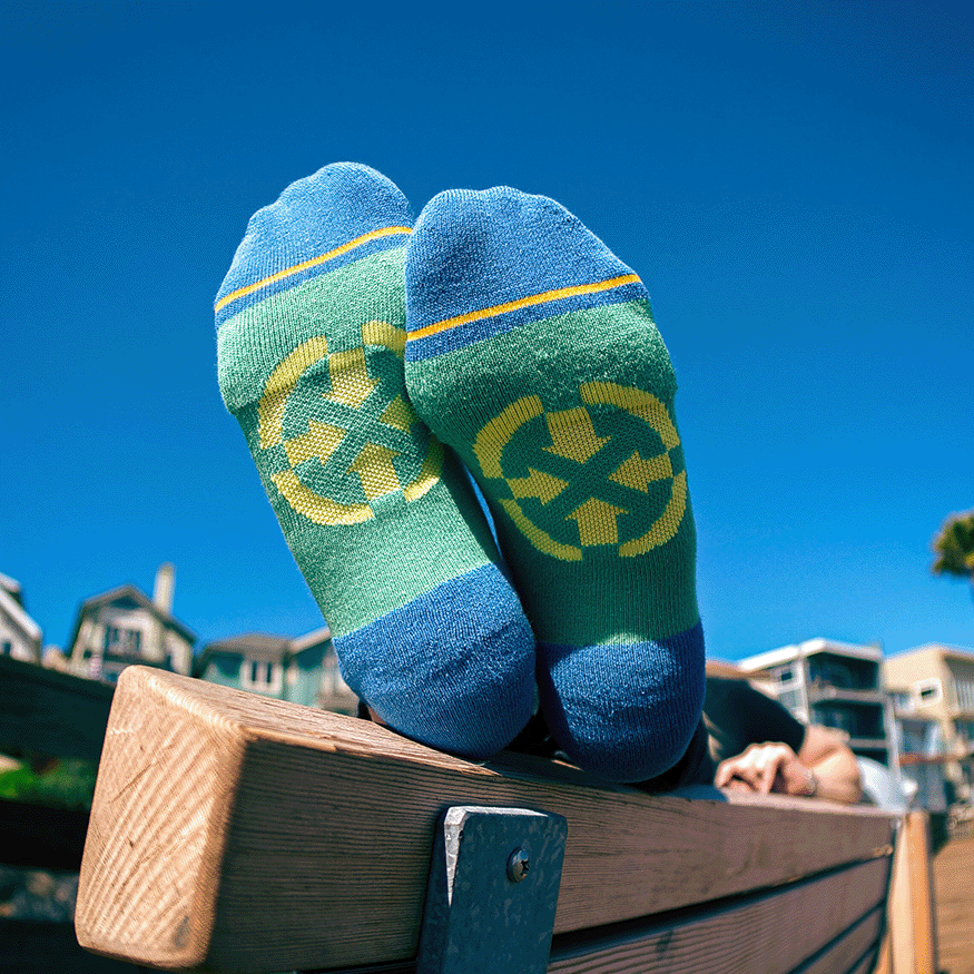 Spring Stripes Organic Cotton No Show Sock