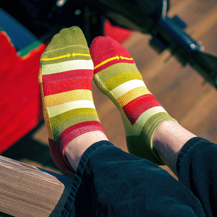 Sunflower Stripes Organic Cotton No Show Socks