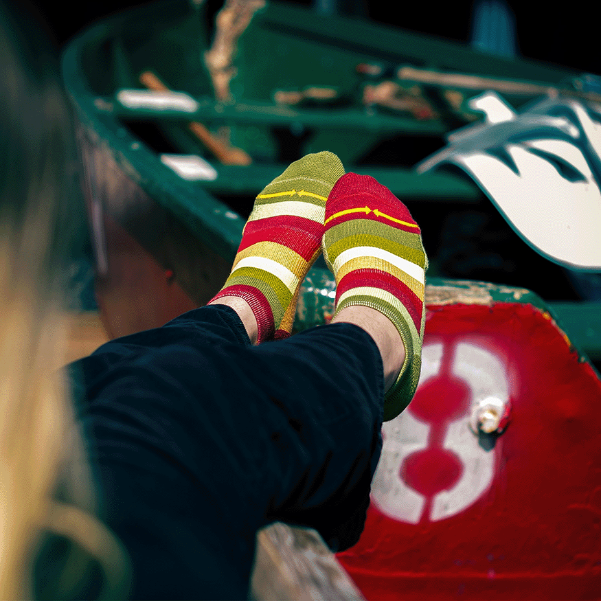 Sunflower Stripes Organic Cotton No Show Socks