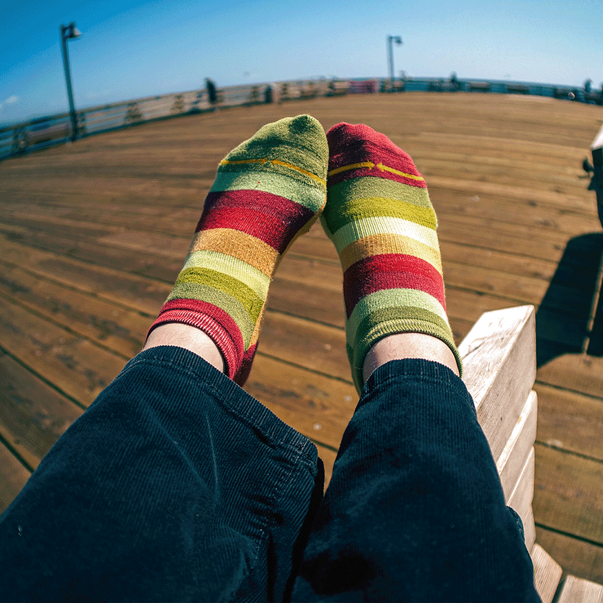 Sunset Stripes Organic Cotton No Show Socks 3-Pack