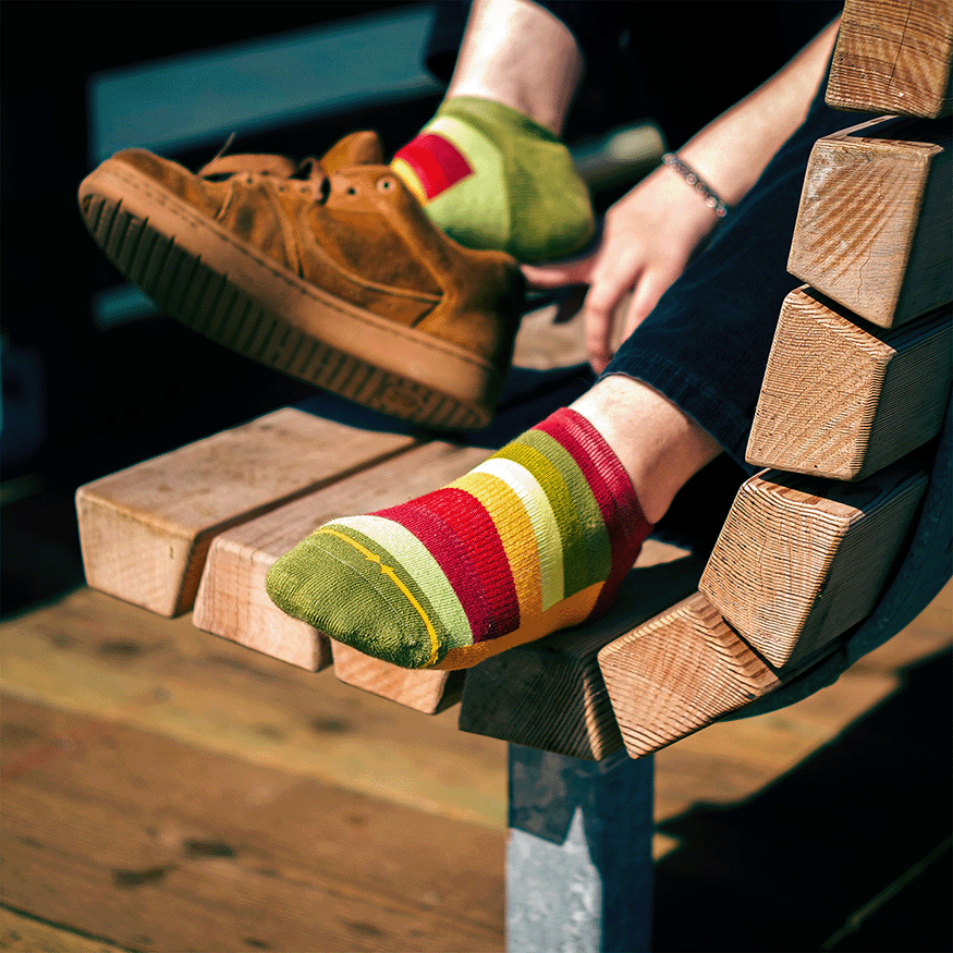 Sunflower Stripes Organic Cotton No Show Socks