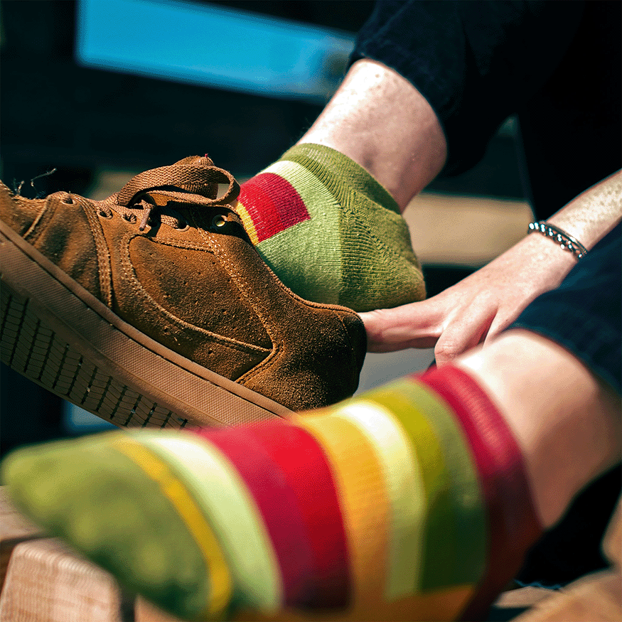 Sunflower Stripes Organic Cotton No Show Socks