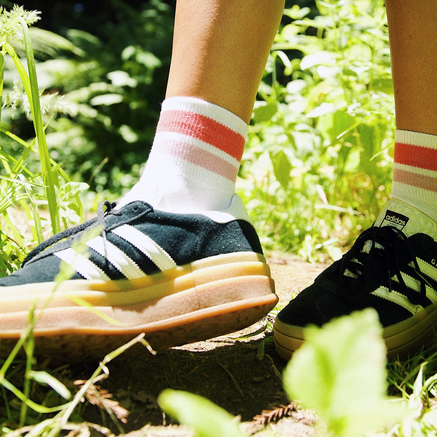 Organic Cotton White/Pink Quarter Crew Sock