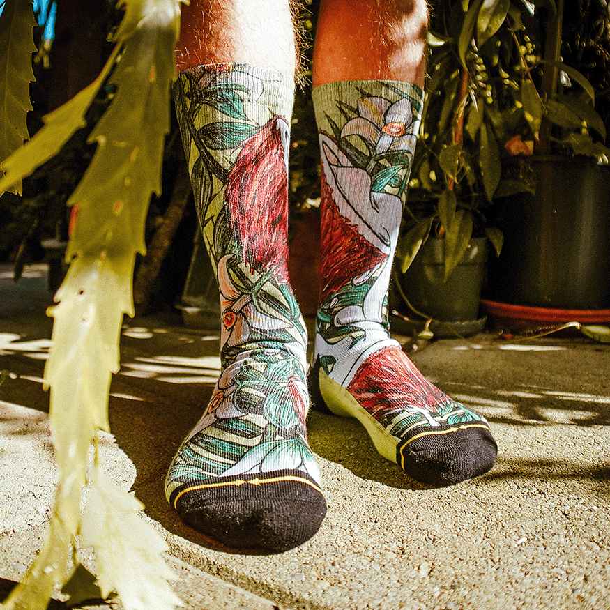 Coconut Crew Socks with Art by Kaia Myall